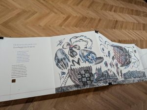 PXL 20251021 100410576-Copy